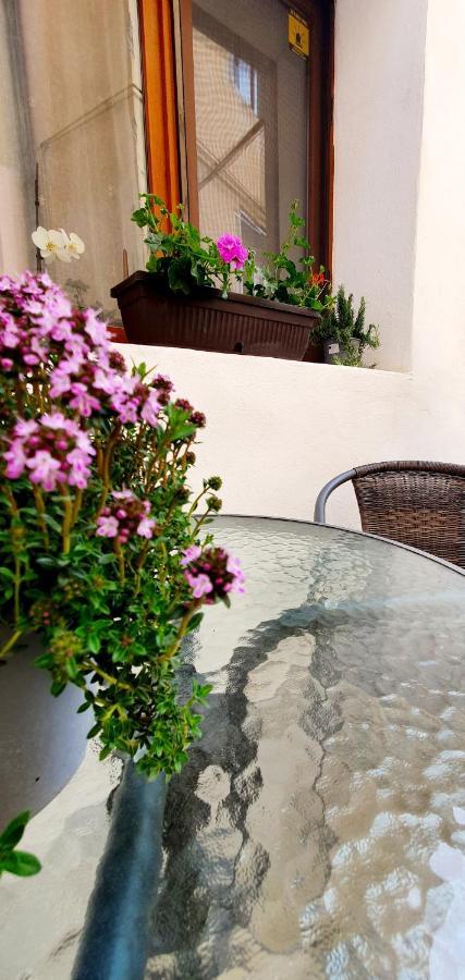 Art Studio Brasov Exterior photo